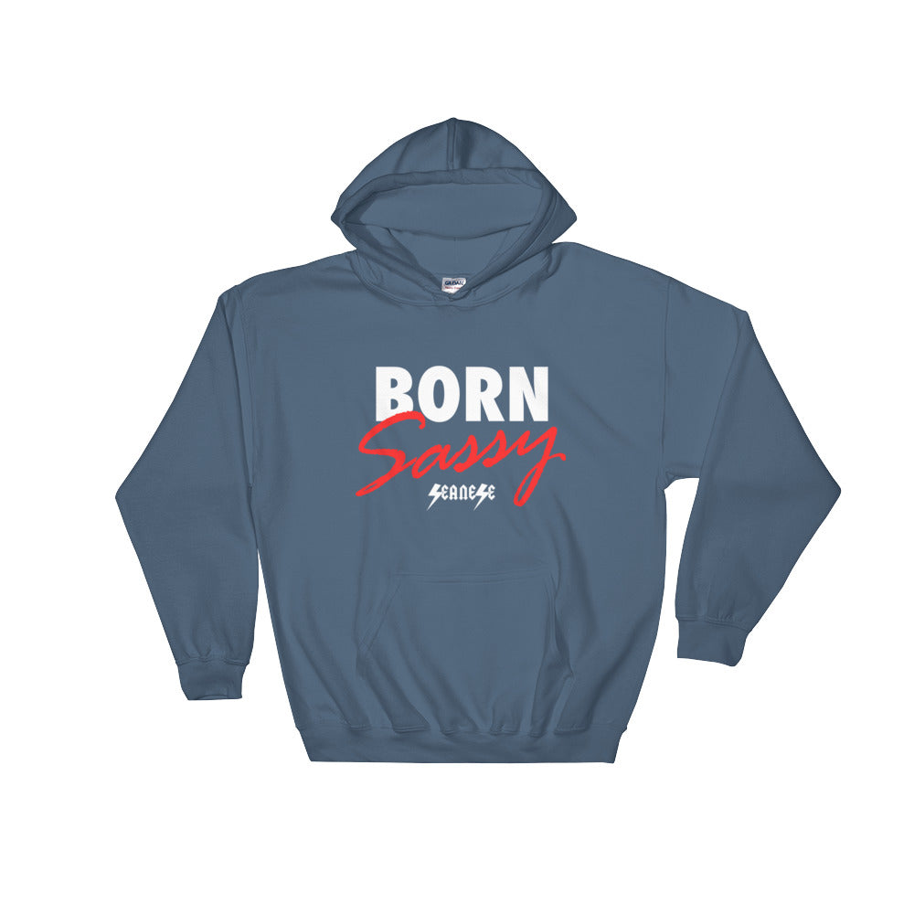 Hooded Sweatshirt---Born Sassy---Click for more shirt colors